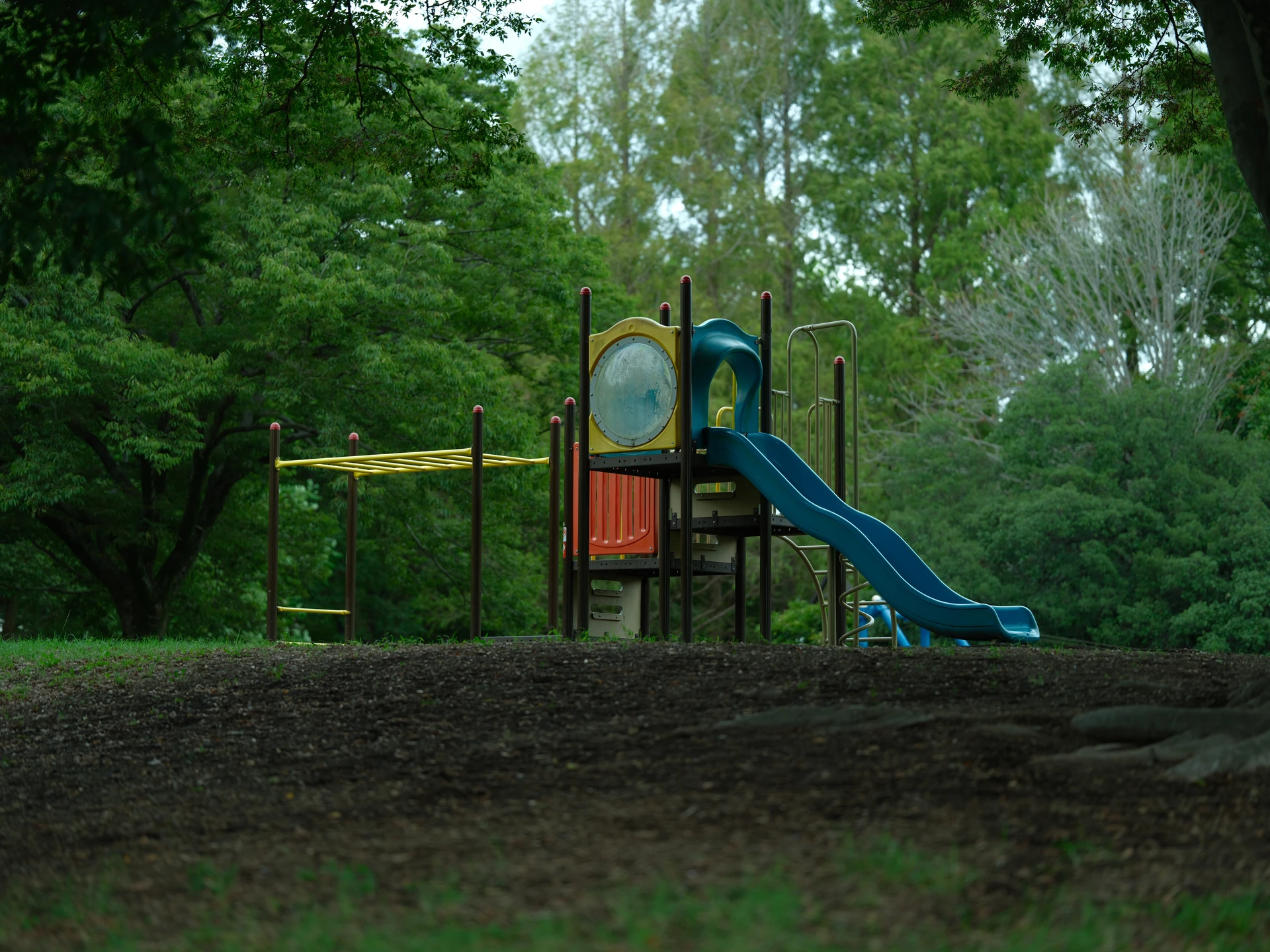 Frame 04