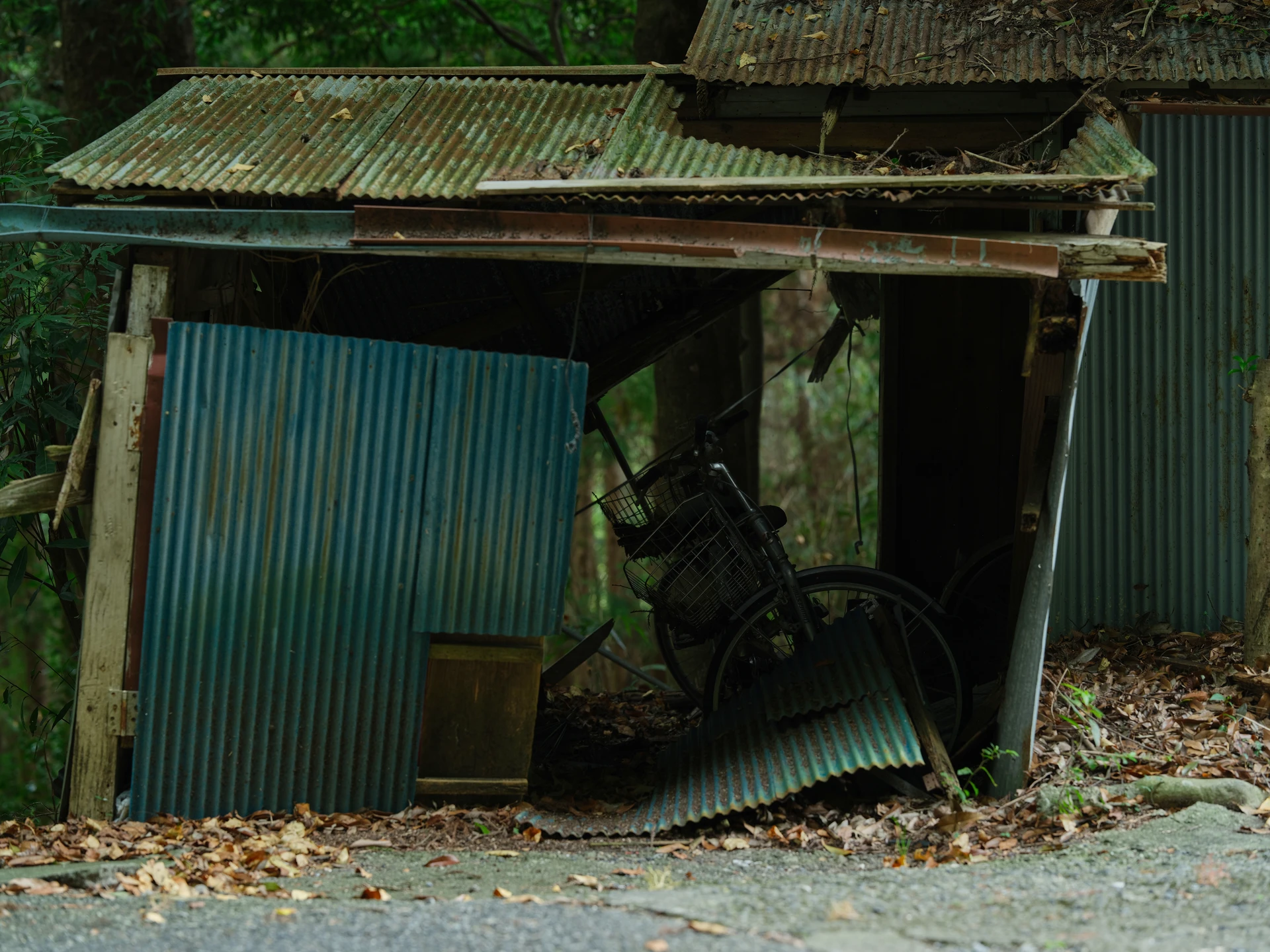 Frame 06